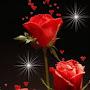 @hafiiidahafiiida6005
