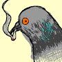 Stoned Pigeon