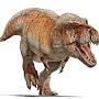 @Tyrannosaurus-rex1905