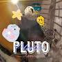 Pluto Da Hammie