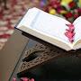 @القرآنالكريم-ج8س4ي