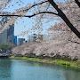 @cherryblossoms1230
