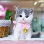 @zbz66788