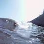 @bigislandoutdoorlife1489