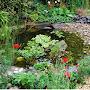 @Gardensforwildlife-ie