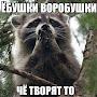 @болеемзанаших
