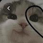 @annmalfoy6386
