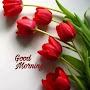 @amjadkhankhan1142
