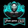 Flash gamer 23