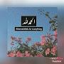 @mehtabamin5756