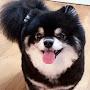 @user-qsIoLpzujHimn