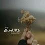 @Abeehanoor090
