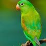 @sunithatheresasequeira953