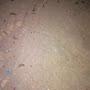 @mdmasum-ie8kn
