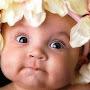 @boriskhmelnitsky4193