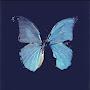 @souadmouhib8141
