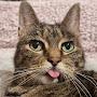 @ChrisAndCats