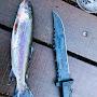 @Westcoast_Fishing