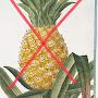 @No.pineapples