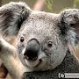 @WeleWele-000