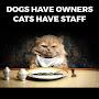 @stephenacheampong4418