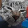 @КириллЯрмуков-з6д