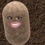Lil Potato