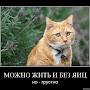@димасоветский-к7я