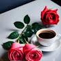 @እሙካሊድእሙካሊድ