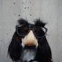 @FunnyAnimals-nu2wz