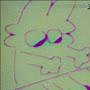 @TH3_CR3ATUR3LY-1