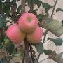 @user-gh6vv6kz1i