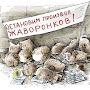 @ЕвгенийКорсаков-к1б