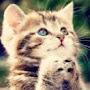 @rimaalalami6673