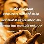 @sivaprasad6361