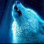 @mr.5Laa
