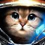 @Bushido_Cat