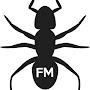 AntFM