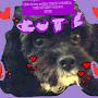 @Xenathepuppysplaytimeoffun1859