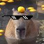 @capybarovka3000