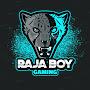 Raja boy Gaming