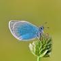 @relaxingsoundsofnature4189
