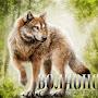 Волк Волчонок