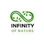 Infinity of the Nature