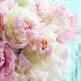 @Anastacia_137