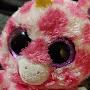 @kukutilove