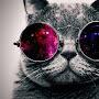 @willemwouter8061