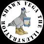 @ShawnVegaz