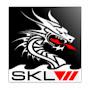 @sklwdragons9079