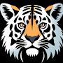 @TigerInfo9